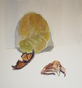 Image of Keith Crowley's painting, Sea Grape, Monarch, and Calico Crab Remains